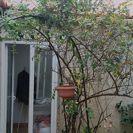Mini Au Calme Colombes (Hauts-de-Seine)