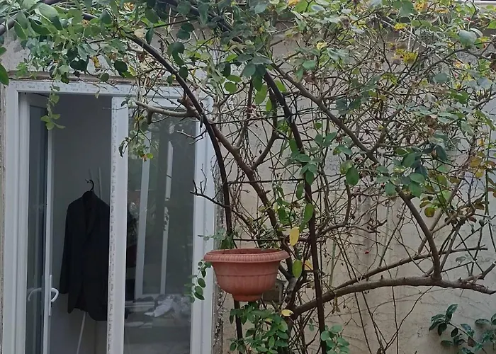 Mini Au Calme Bois-Colombes